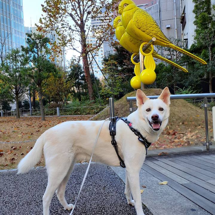 5c279972 7faf 4af1 80b8 6a8d532a4ee1 1638073950847