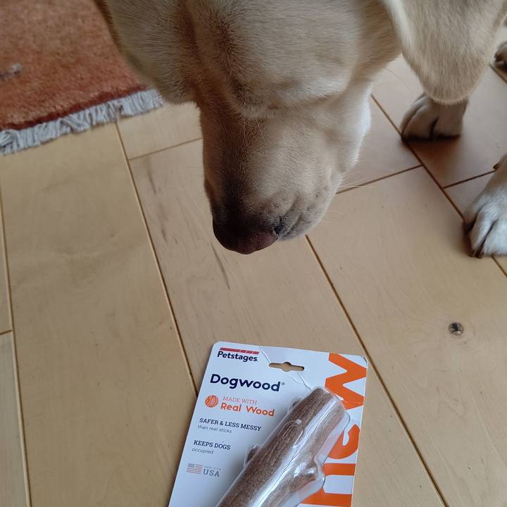 5c279b89 1a1d 4912 8f1c 99bcc5b53fd3 1598850354470