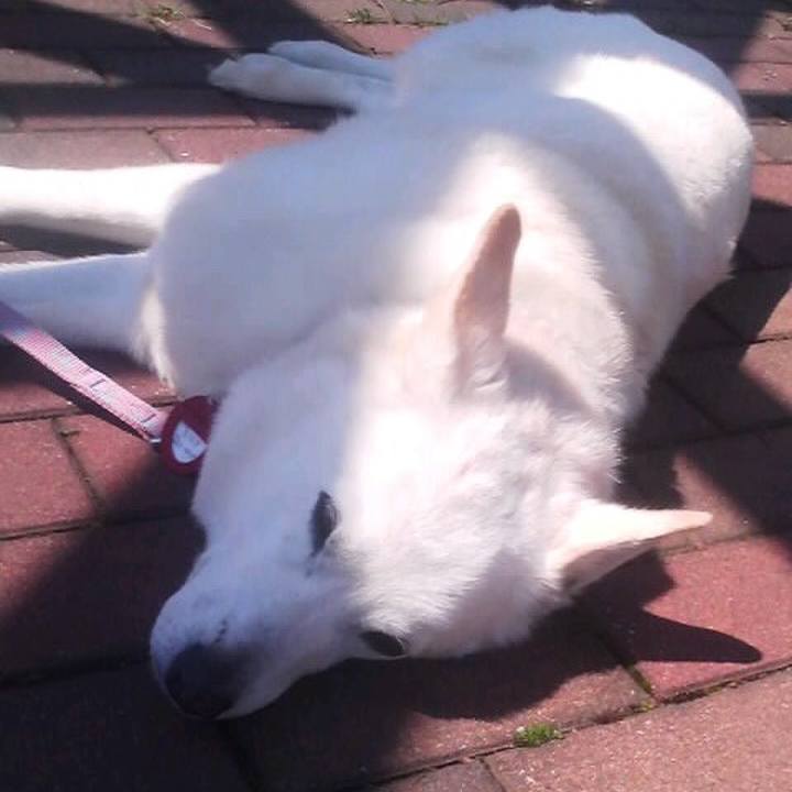 5c27a7de e0f4 400f b44d b3907f00034e 1555576106071