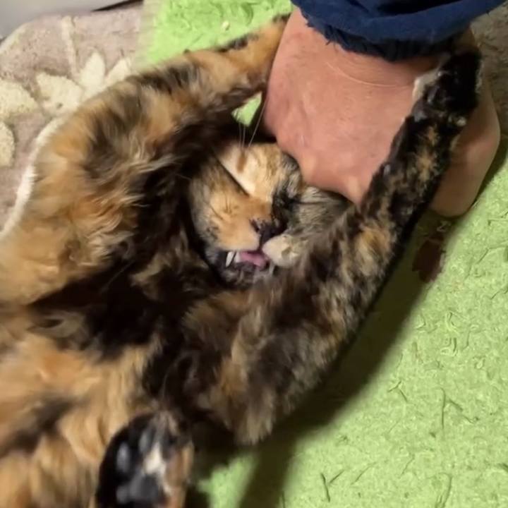 5c27fafe b5cd 40c4 9772 4703425ebf34 1737029171438