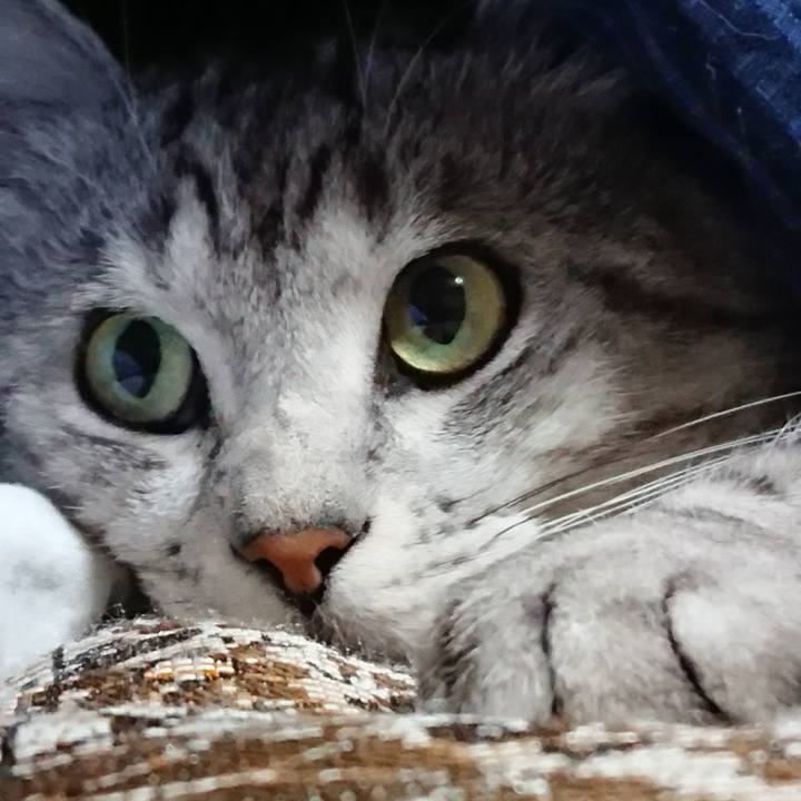 5c281ffd 09cb 4755 bafb 92cc84a2bfcc 1516753448437