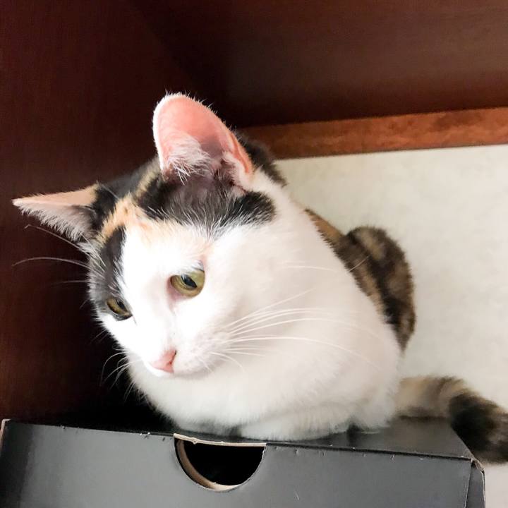 5c28723f ac37 4395 9da6 e50ead4ab982 1530196509369