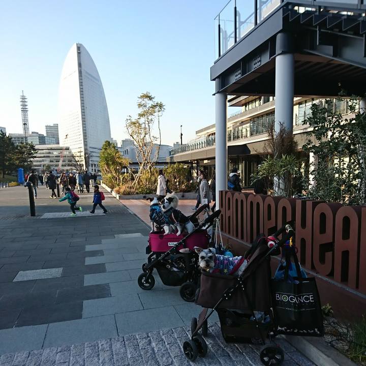 5c287760 0b9e 4210 9c8d 54835e3fef7c 1578742571242