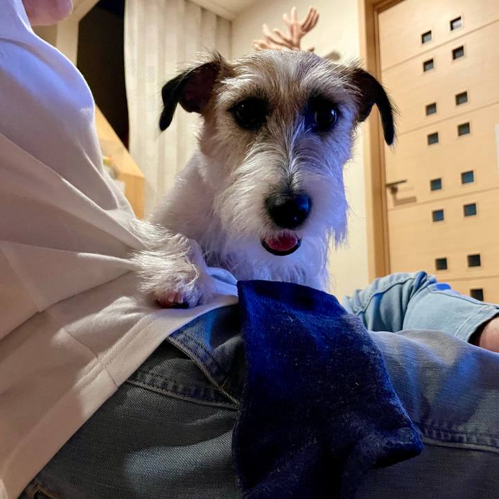 5c287acf aa59 4dee 996d b3e06096ed77 1688475832765