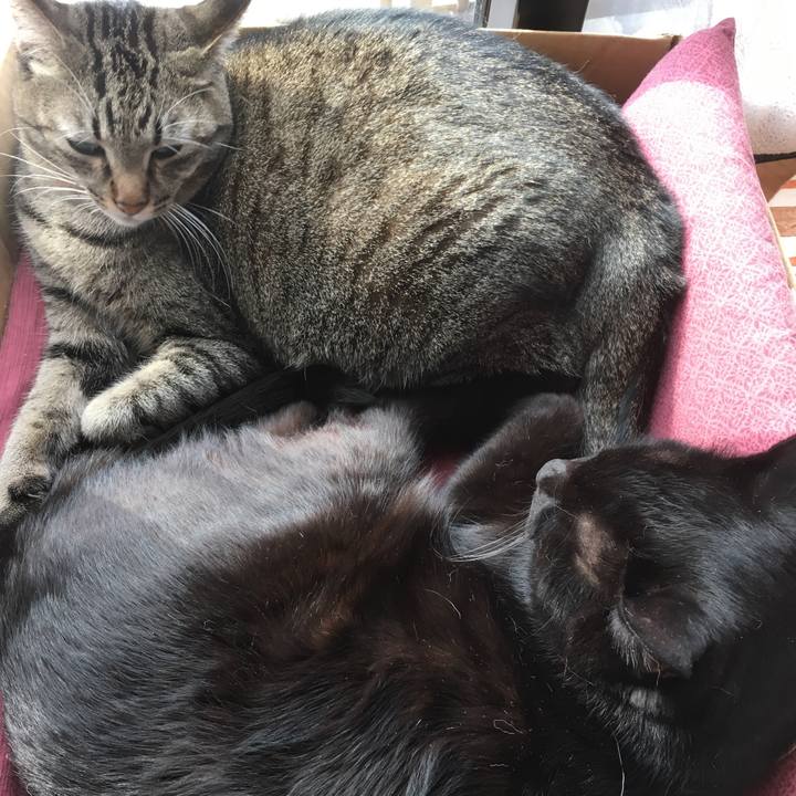 5c287c0d 9171 43ef 8359 dc7012ce9e79 1511662351832