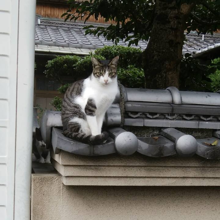 5c2891bb e7ce 4825 83fa c1d7ef54a81f 1563322482612