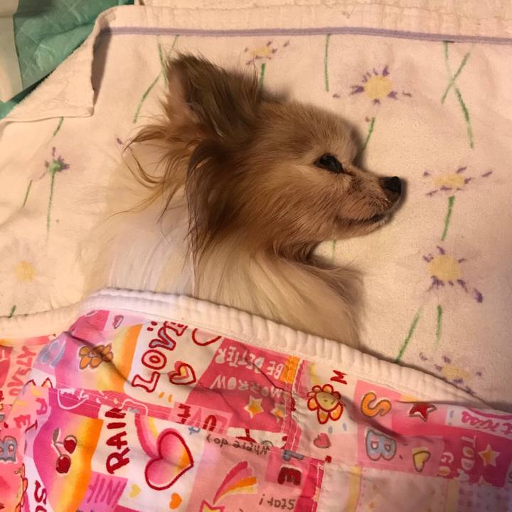 5c28a9f9 174e 4d8f ac1d 8aa0b4cecf3a 1530021347520