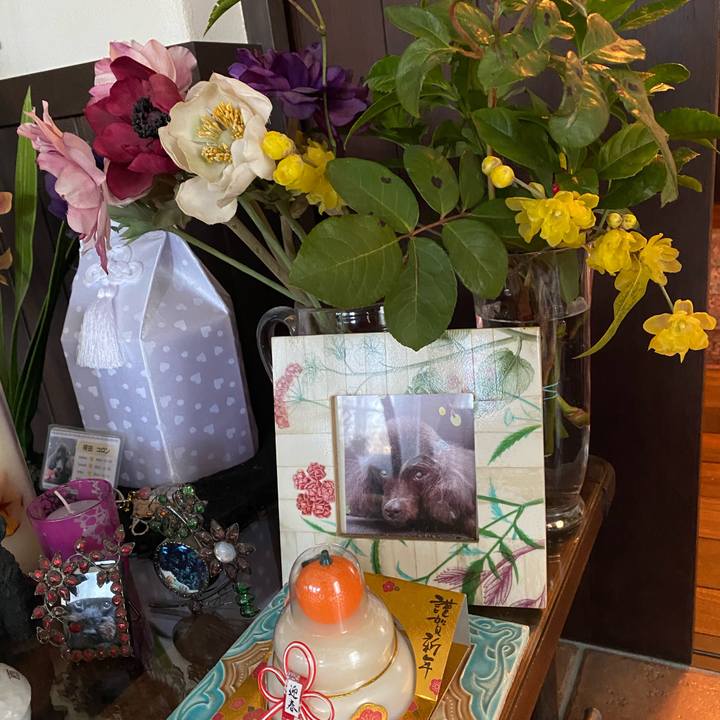 5c28baa1 869a 47c6 9332 0e88350edff5 1703911702482