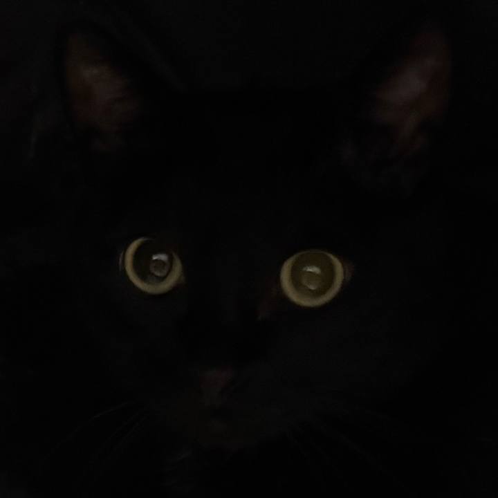 5c28bcc9 5bfa 434d 88ed f57d0080bd20 1754627128351