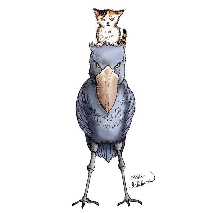 5c28cd98 327a 48d5 af01 70f01948d91c 1685921003531