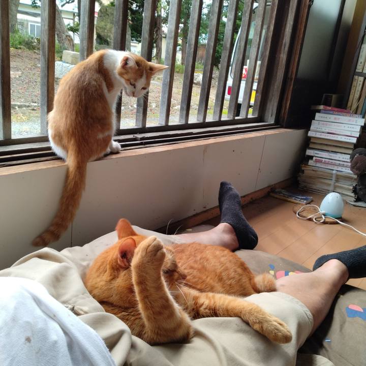 5c28eec1 4fa8 4163 b9ce 24ee485b49af 1727501605421