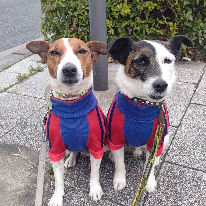 5c28f141 6902 4668 b335 e7026fc24cc9 1679007845088