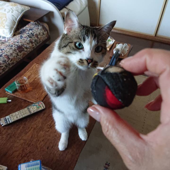 5c29132d c726 474a b4fa ccf6c2428db5 1689470664590