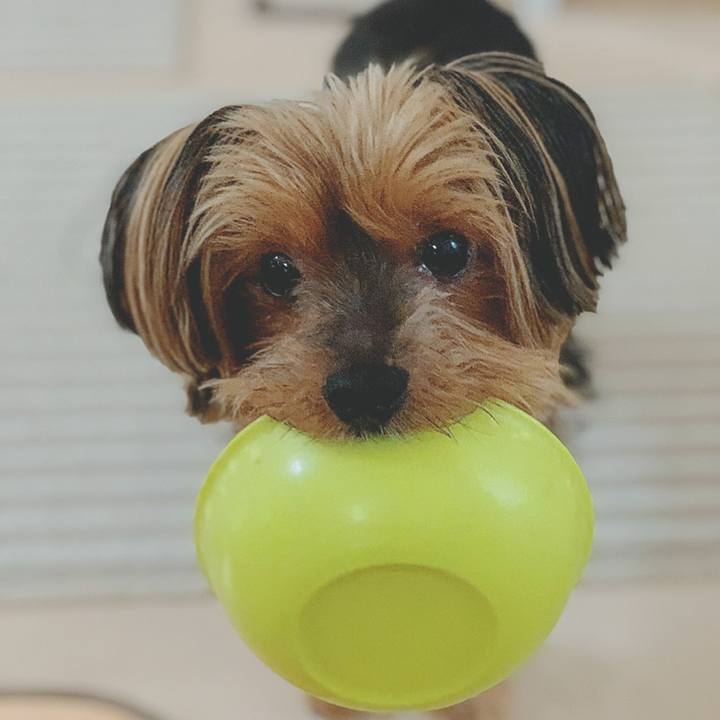 5c291c0a 99a2 4336 b141 47158c0ecf58 1588745215587