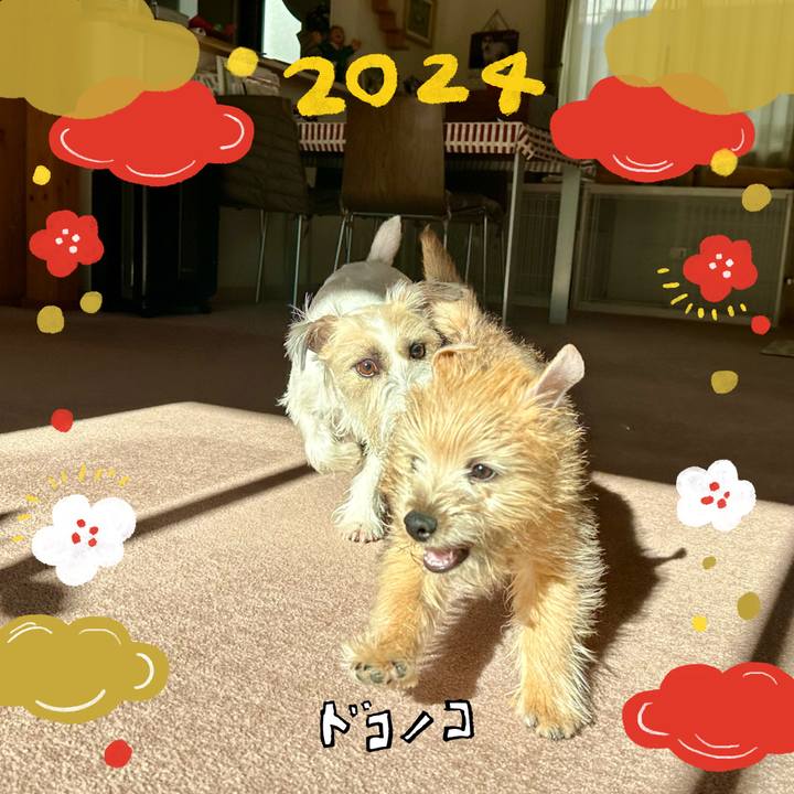 5c2926de e2b6 4ba2 a87e b11c884cea0a 1704072769775