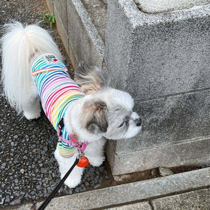 5c294636 ee1f 4a1e 9956 5c6141ba87a0 1714483956125