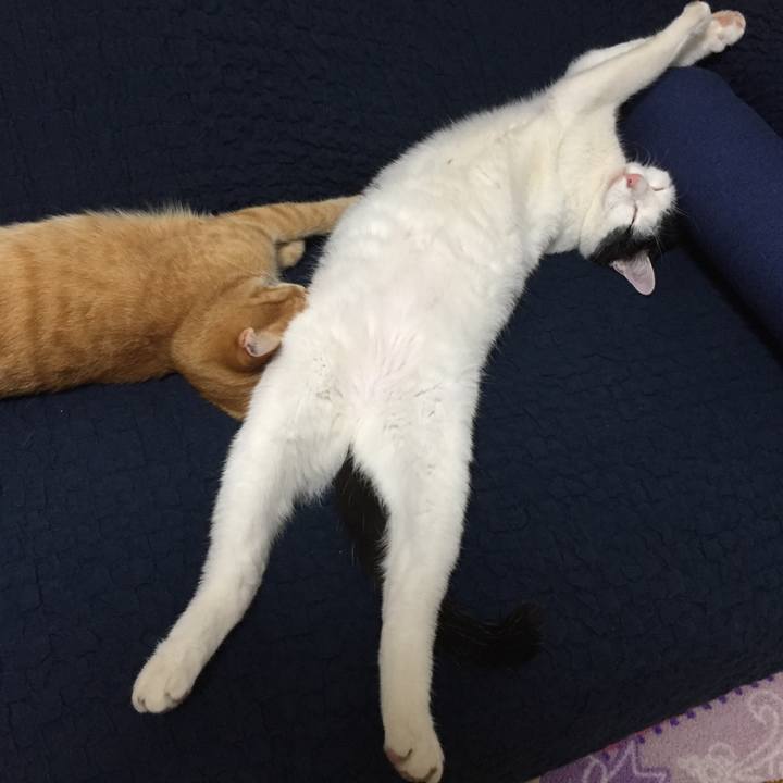 5c295927 9120 4dbd 8dec 3ff721ceb717 1524310078433