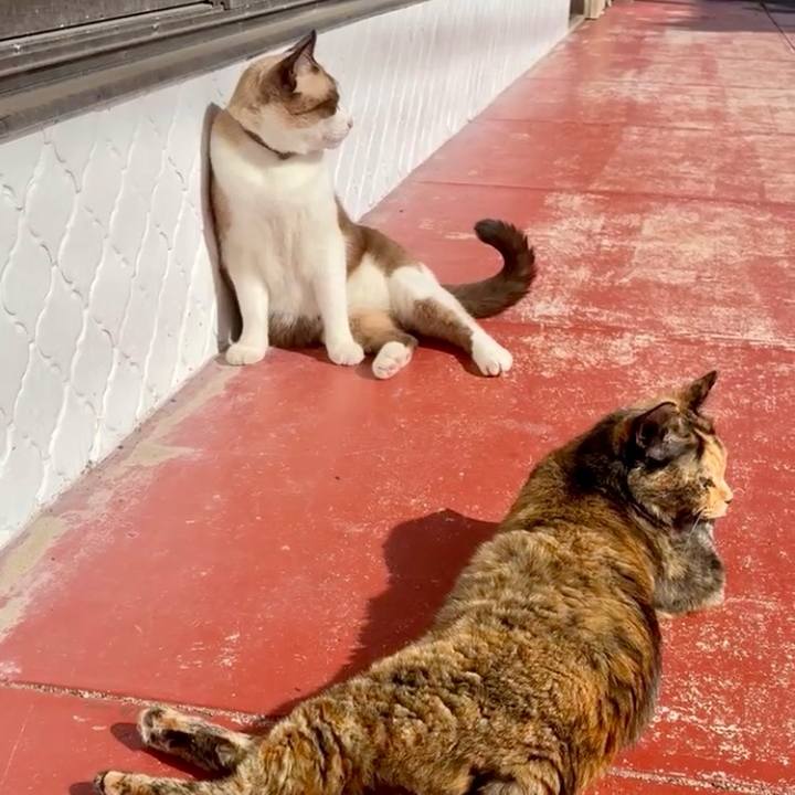 5c298c30 0683 4797 a829 b149ed34ee9d 1761797240448