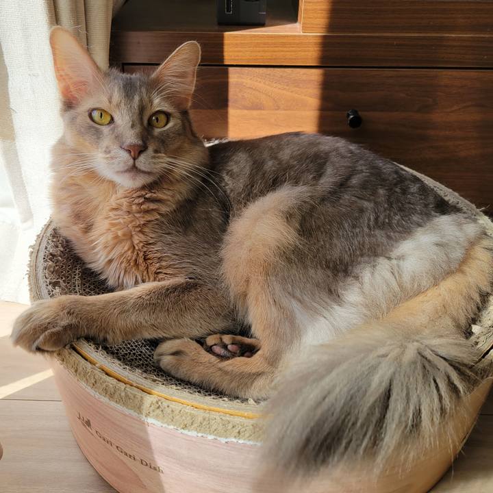 5c298d10 461a 44f2 87e2 3057e9bfca18 1635038813604