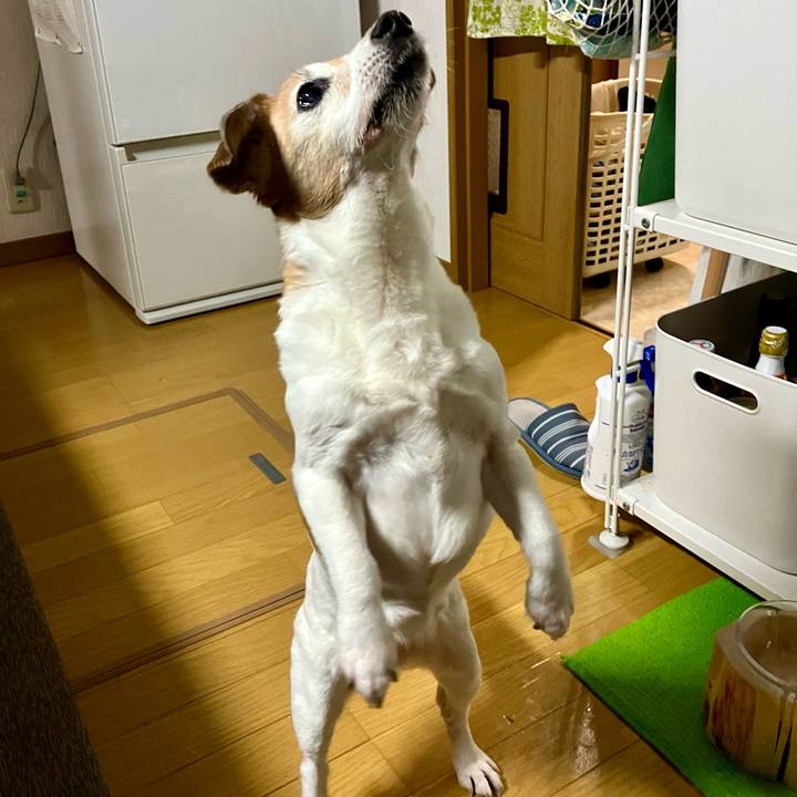 5c299b8e f02f 4721 8e46 d9cc8a96d77e 1715263486293