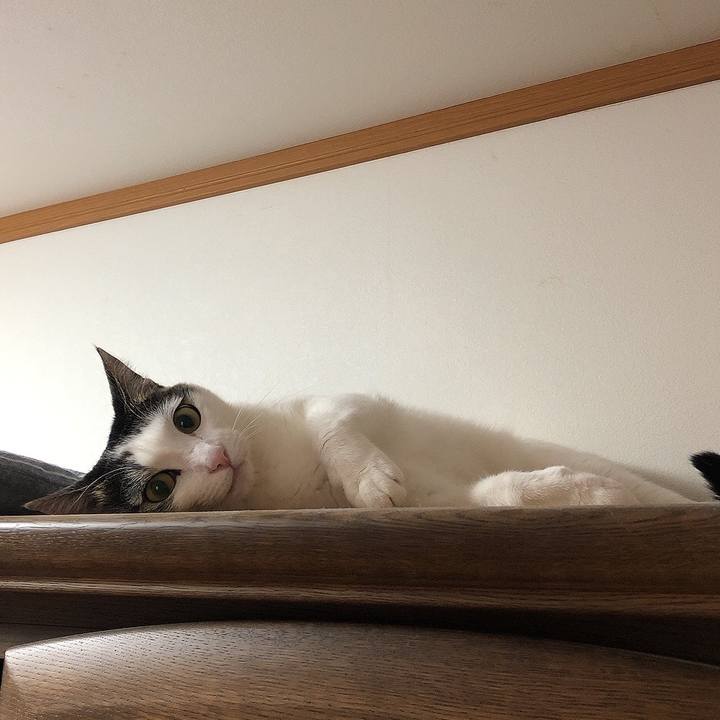 5c29c47f 3d36 4dfd 8527 019094347b55 1683414349639