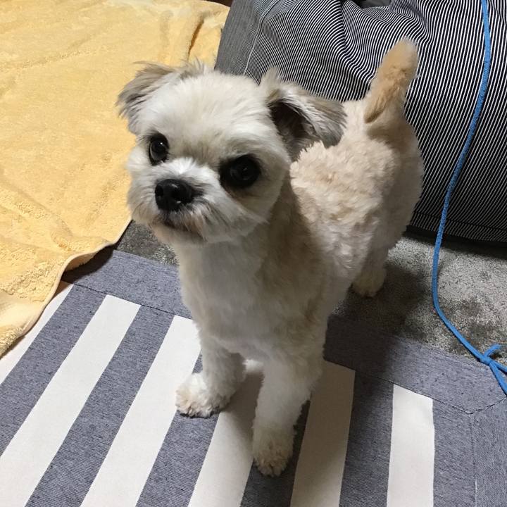 5c29ceb6 56dd 420c be62 0f51060f5da2 1532437114575