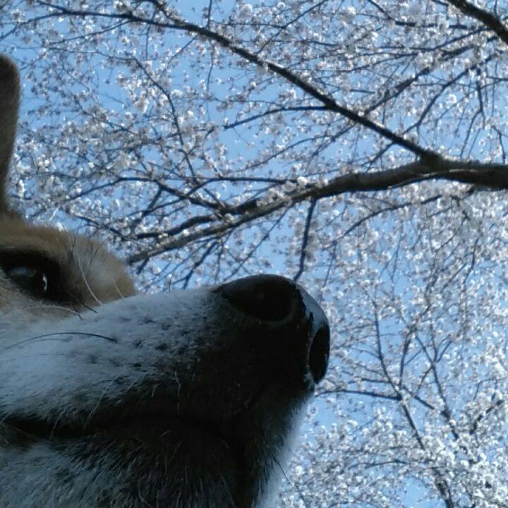 5c29ceff 8d49 4a1f 9c82 67a32e3dca04 1522112672166