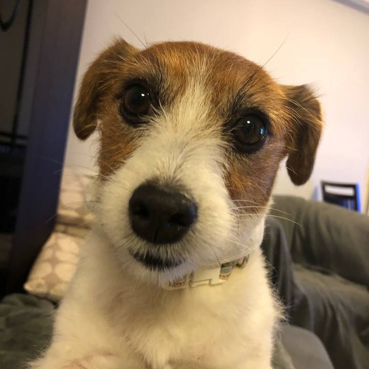 5c29de84 d1cb 426f 896e 983435ad2680 1590236250375