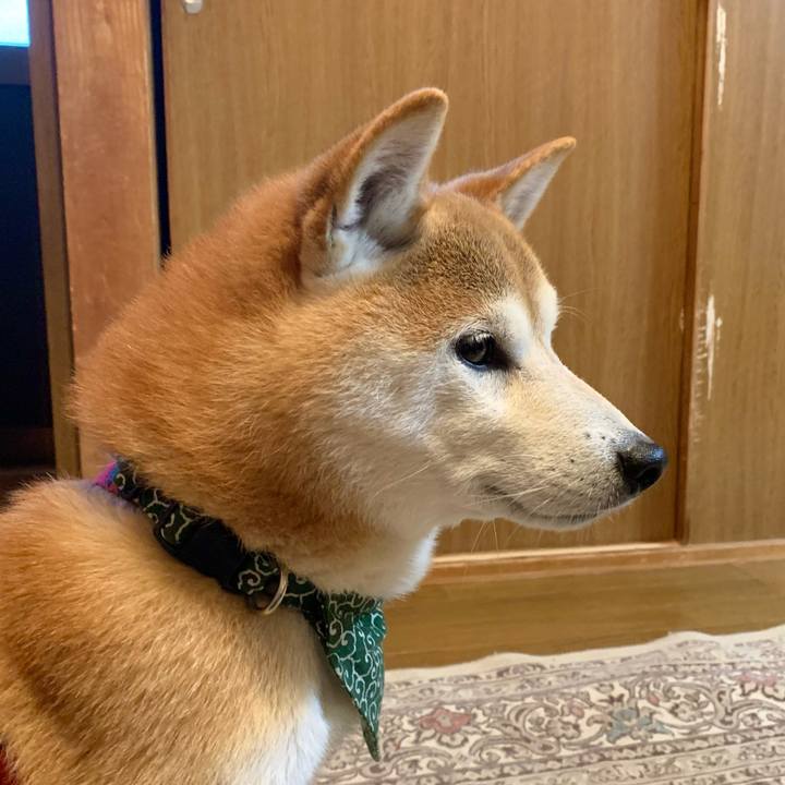 5c2a0b70 409e 462a aa8a 208933eec357 1670577297263