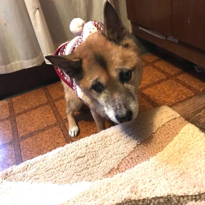 5c2a194f b409 42fb b875 dcbe5151848e 1546728540439