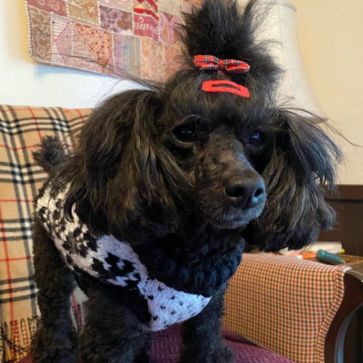 5c2a2503 44b4 456c 8cfe de297912f263 1644017953543