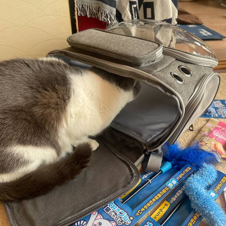 5c2a2bc9 c276 454a ac3c 40d0f237dab7 1703468573550