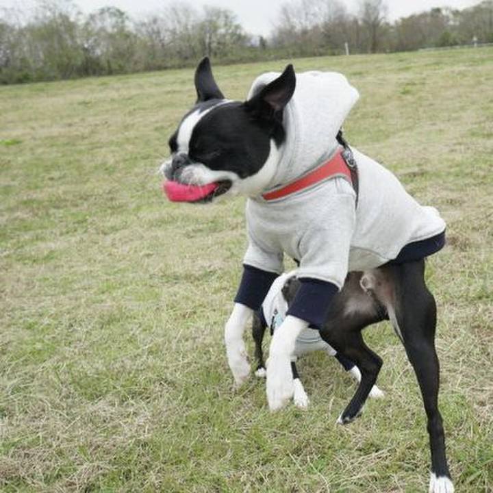 5c2a3352 85bc 4ba6 a41d f8f688a6fc80 1544958882284