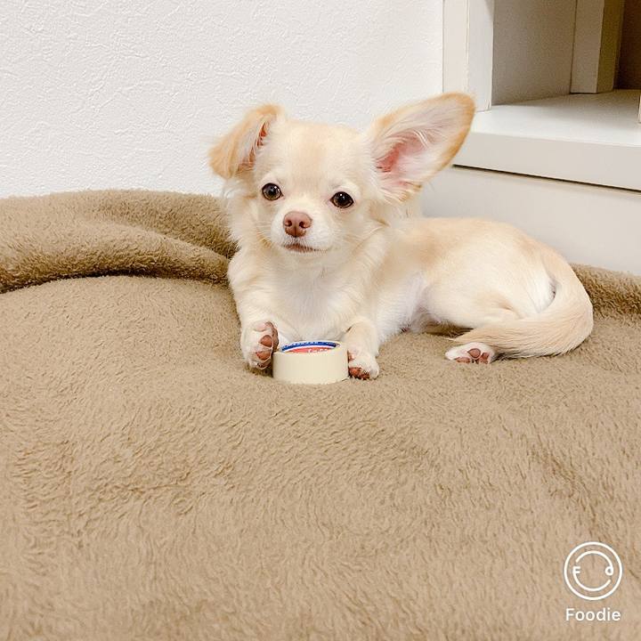 5c2a41f4 3902 4370 bc5e 5a1ef14569a6 1601777765601