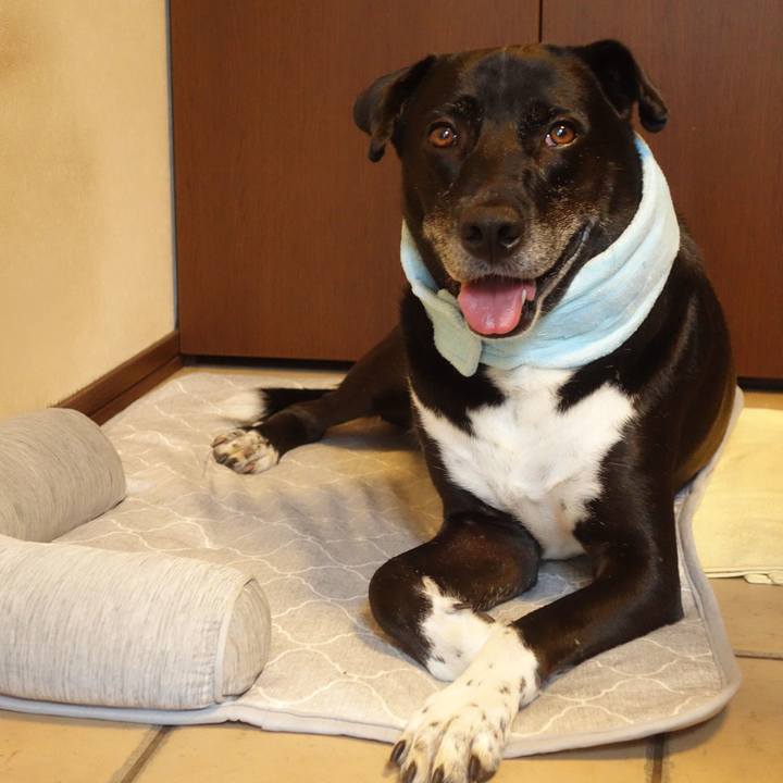 5c2a7f14 28a5 4bce 9d63 b6a4a7b37960 1689552242340