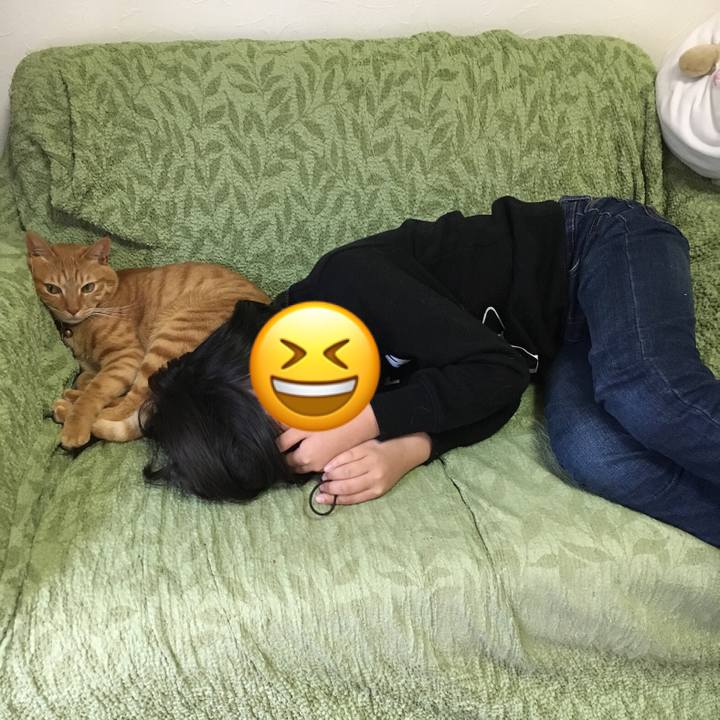 5c2a9227 8dc9 4c8b 9cc2 25b48bd1a4a6 1553324824098