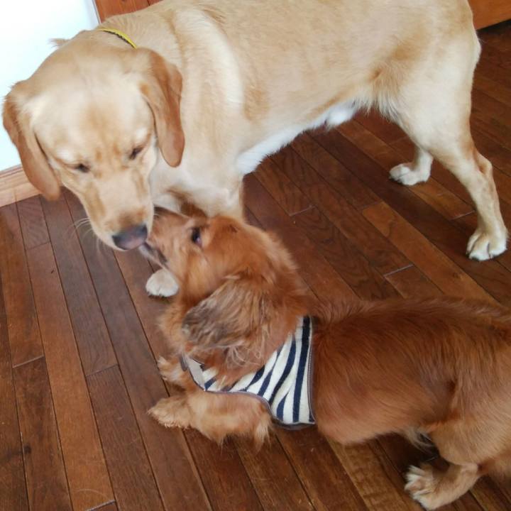 5c2af7d0 a646 4b98 abad 73055aa68215 1522824925099