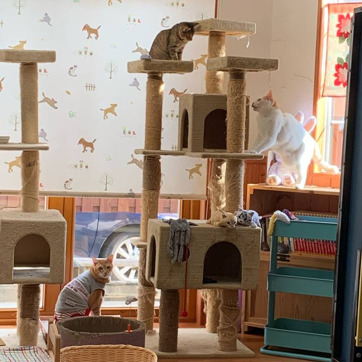 5c2bae43 da5b 419d a753 db034b6eb25d 1599981216359