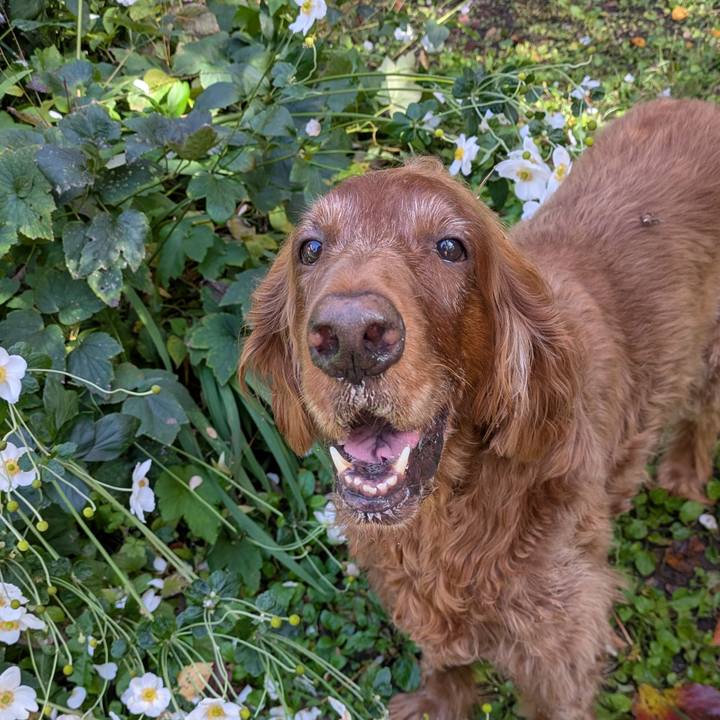 5c2bb04b eeaa 4275 87ce d00e09845675 1762424101193