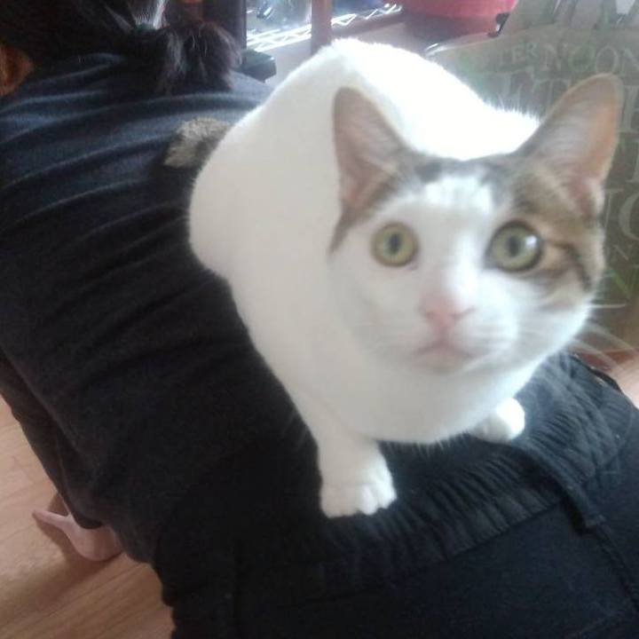 5c2bc4e2 d734 4b89 888f 800d6ab85167 1666496440886