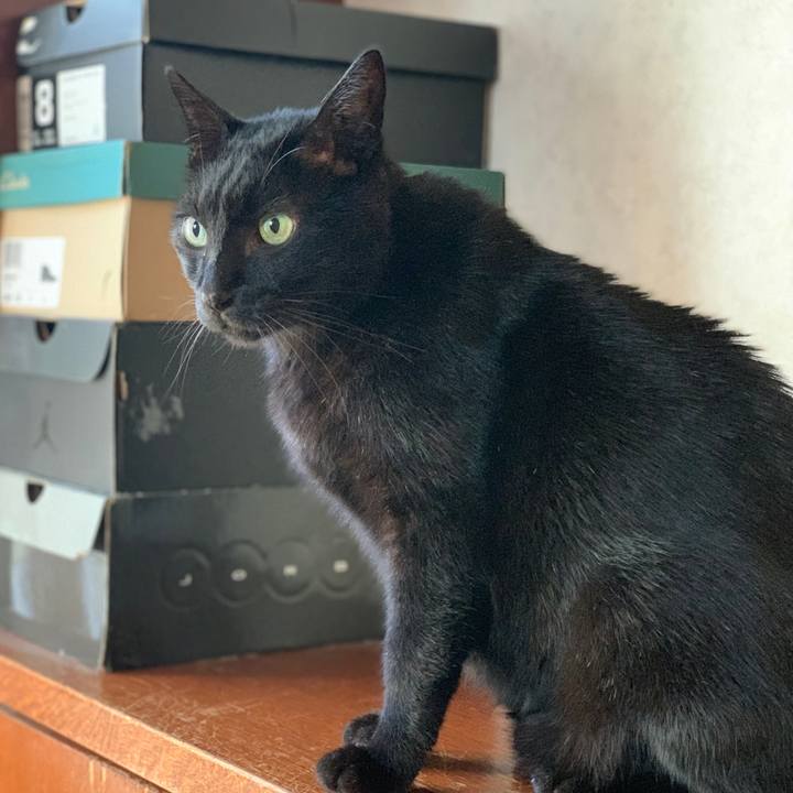 5c2bd189 9455 41de 8920 1f223899bc80 1604021783396