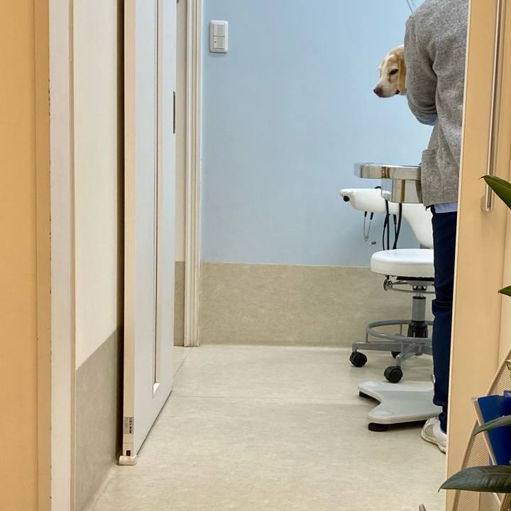 5c2beba2 11b7 4ea3 a277 01ffb4ca2417 1638268187232