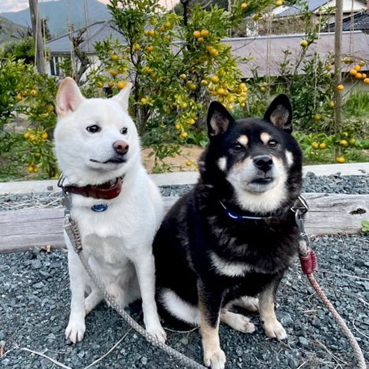 5c2c02e6 a694 4b22 9f3d 7cade1f7bf3e 1635931146079