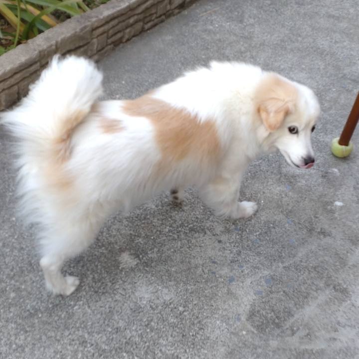 5c2c031d 9f07 4766 b7ba 6e629d2451cf 1646522808455