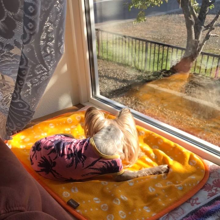 5c2c141d 4528 446c 8d2e 3946a60790a6 1635242954517