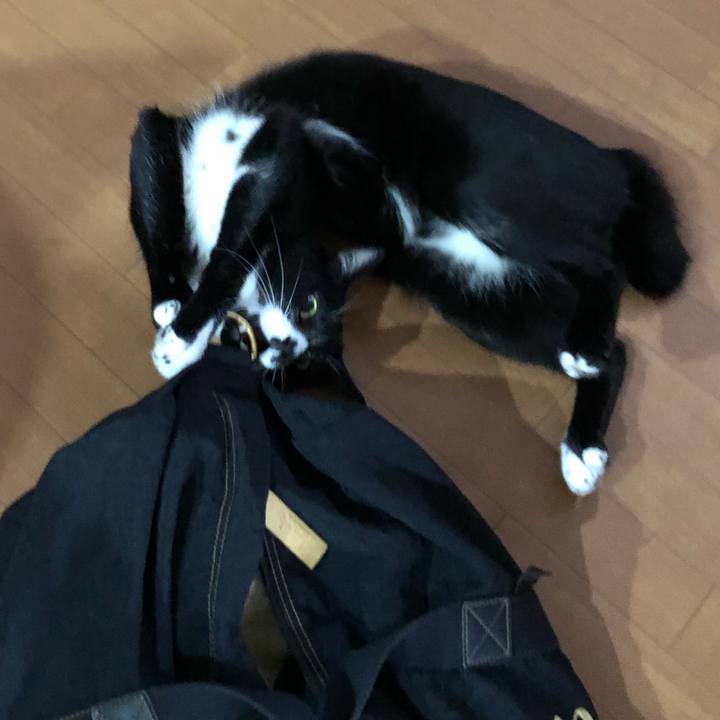 5c2c16db 2589 4c97 8ff3 ed864511846f 1537847076976