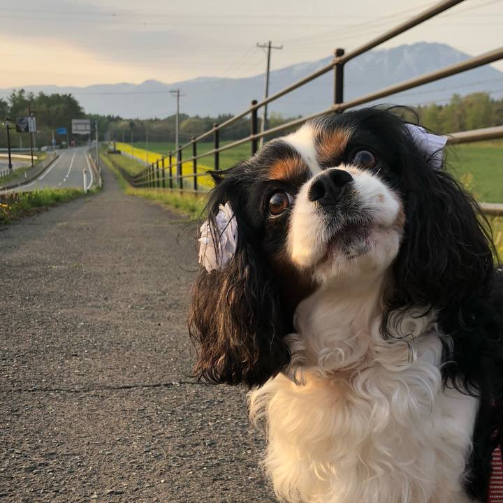 5c2c2ef2 6e7a 408b ba4f 6aee6499a5af 1557627947408