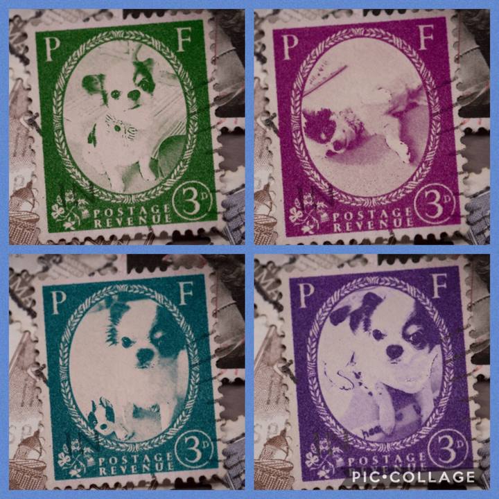 5c2c4086 f2ce 4e3a bade 0bc24269f9f1 1570078778161