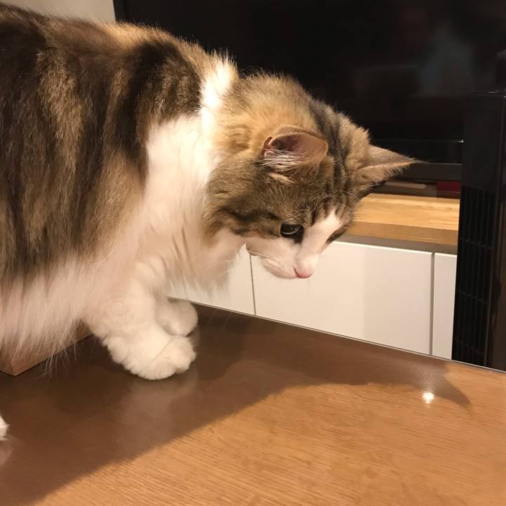 5c2c44da 3ff4 4c26 8d52 52cb559424e7 1593781132837