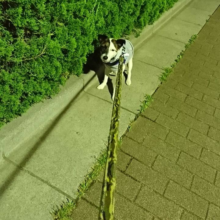 5c2c829b 2918 4227 bc23 5088a1fe4d55 1527769605416